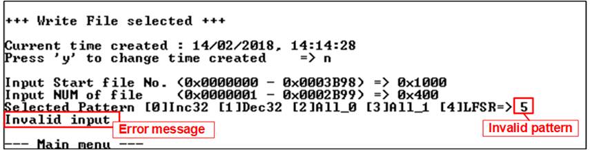 Invalid Test Data Computer Science dg_fat32ip_nvme_instruction_en